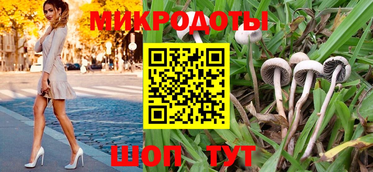 Галлюциногенные грибы мицелий Сердобск